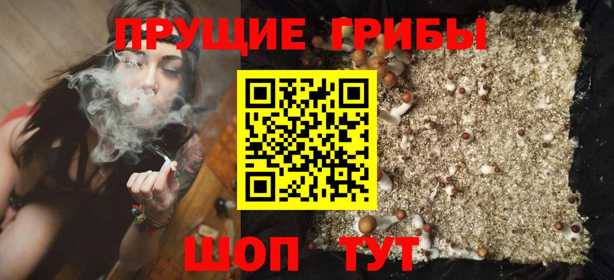 Галлюциногенные грибы Magic Shrooms  Вход с VPN  цена   Маркс 
