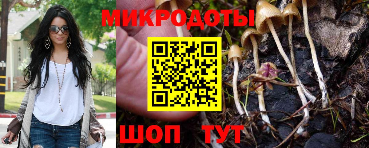 Галлюциногенные грибы ЛСД Маркс