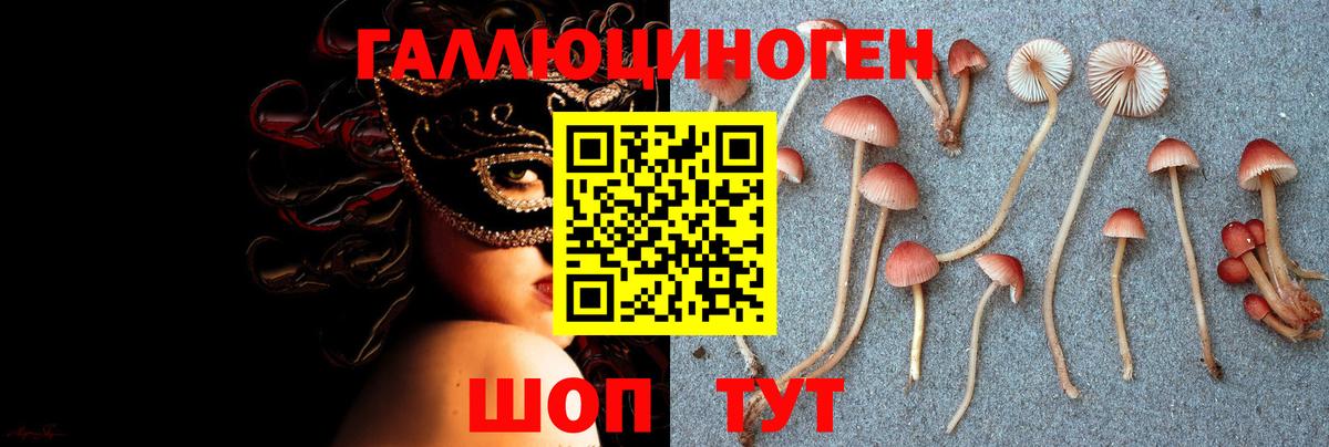 Псилоцибиновые грибы Psilocybe  Галлюциногенные грибы Magic Shrooms  Маркс 
